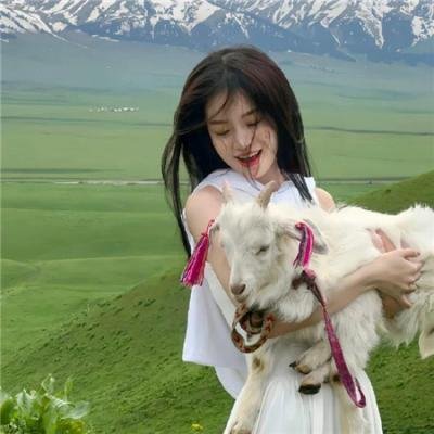 喜剧 站前竞马 海报